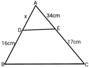 Triangles