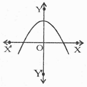 Graph of polynomial