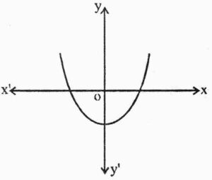Graph of polynomial