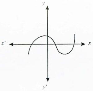 Graph of polynomial