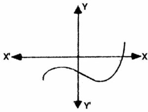 Graph of polynomial