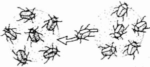 Heredity and Evolution