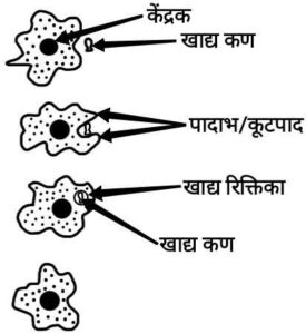 Life Processes