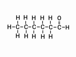 Carbon and its Compounds