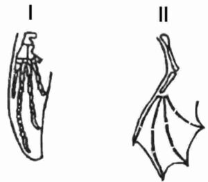 Heredity and Evolution