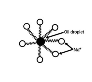 Carbon and its Compounds