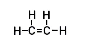 Carbon and its Compounds